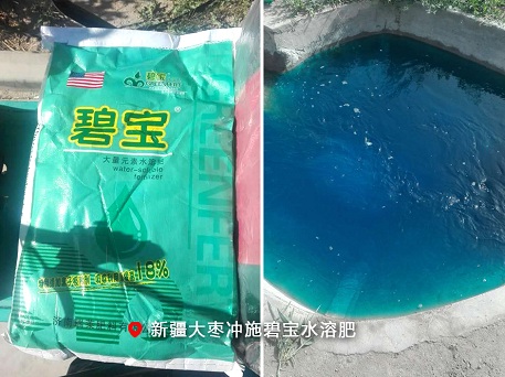 美国瑞莱