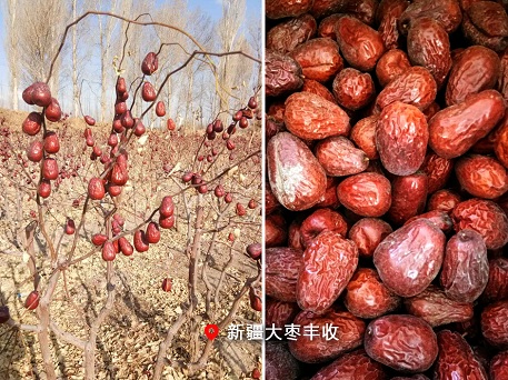 美国瑞莱